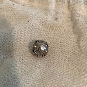 Authentic Pandora Leo charm